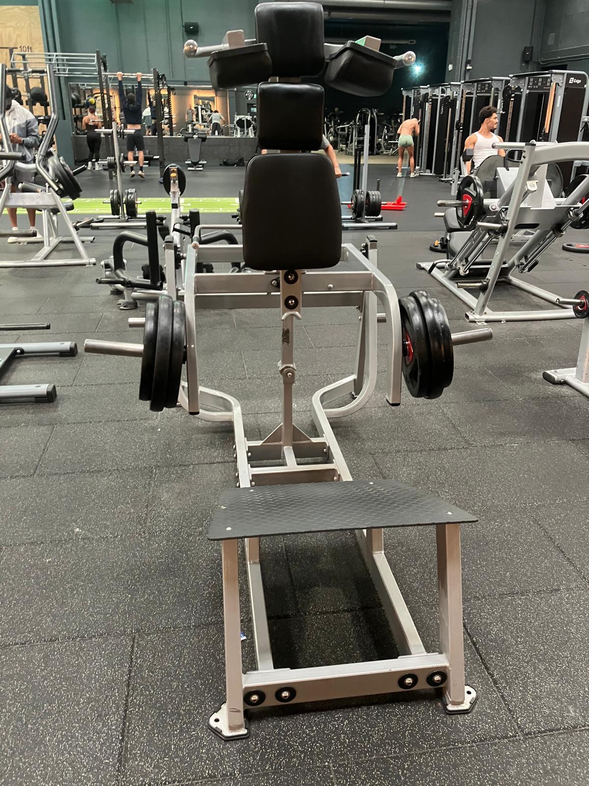 Matrix Standing Calf Raise